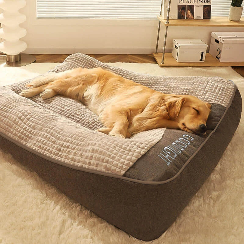 Comfy Canine Mattress Bed