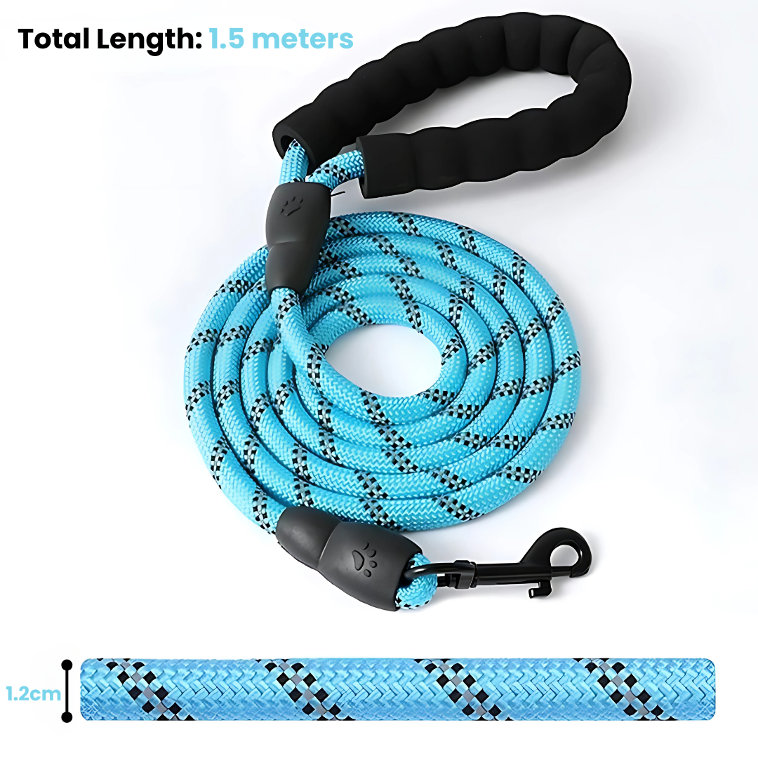 SafeStride Reflective Dog Leash