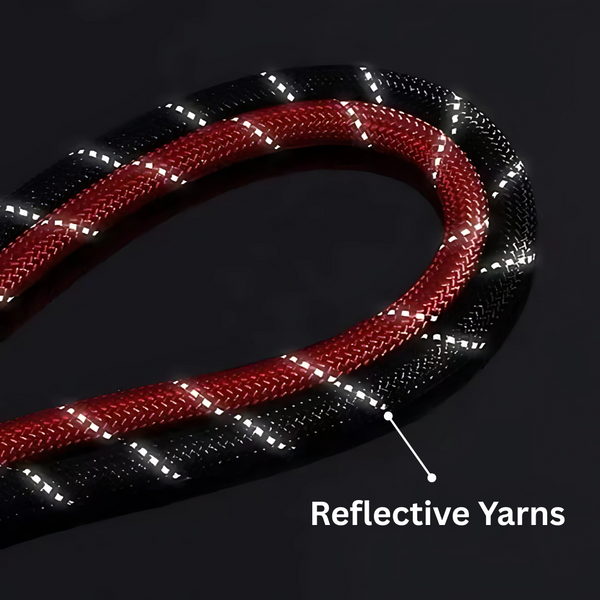 Safe & Comfy Reflective Dog Leash