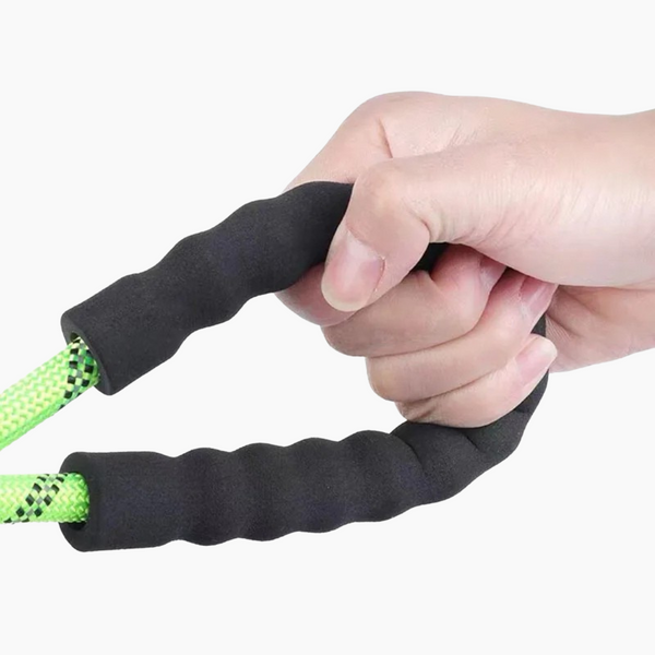 Safe & Comfy Reflective Dog Leash