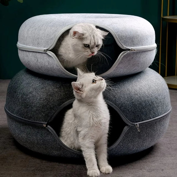Ultimate Cat Adventure Tunnel