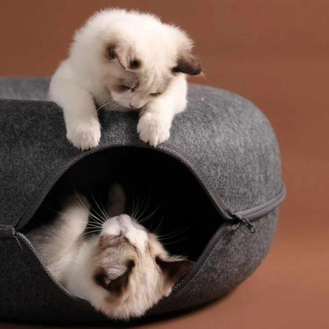 Cuddle Cove Cat Tunnel