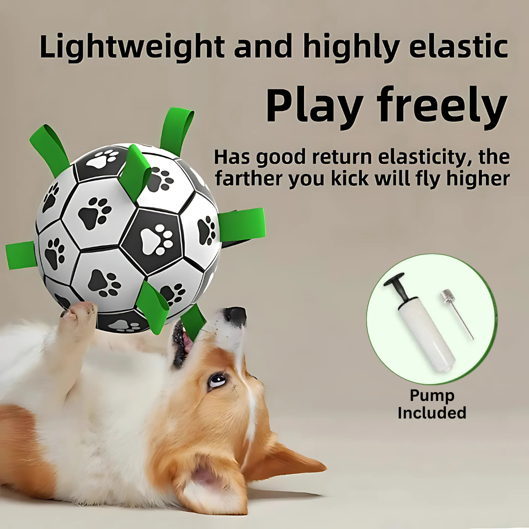 Fetch Goal Fußball