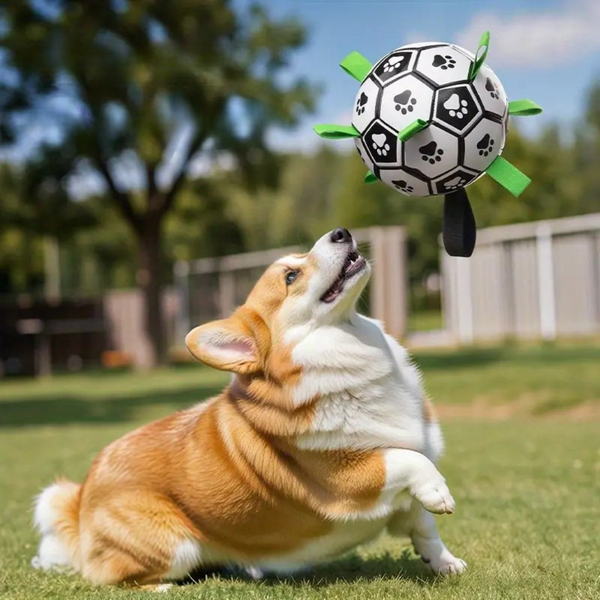 QDAN Interaktiver Hundefußball