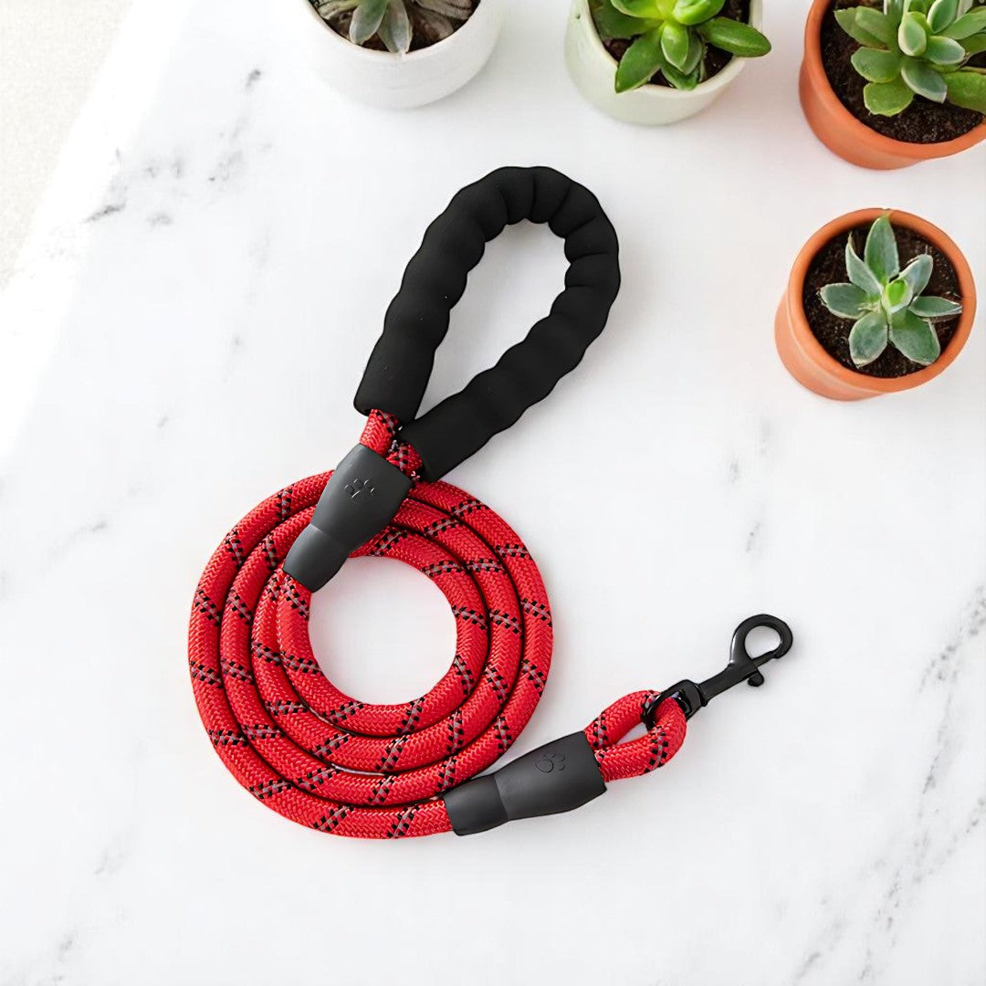 SafeStride Reflective Dog Leash