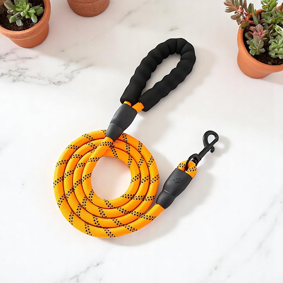SafeStride Reflective Dog Leash
