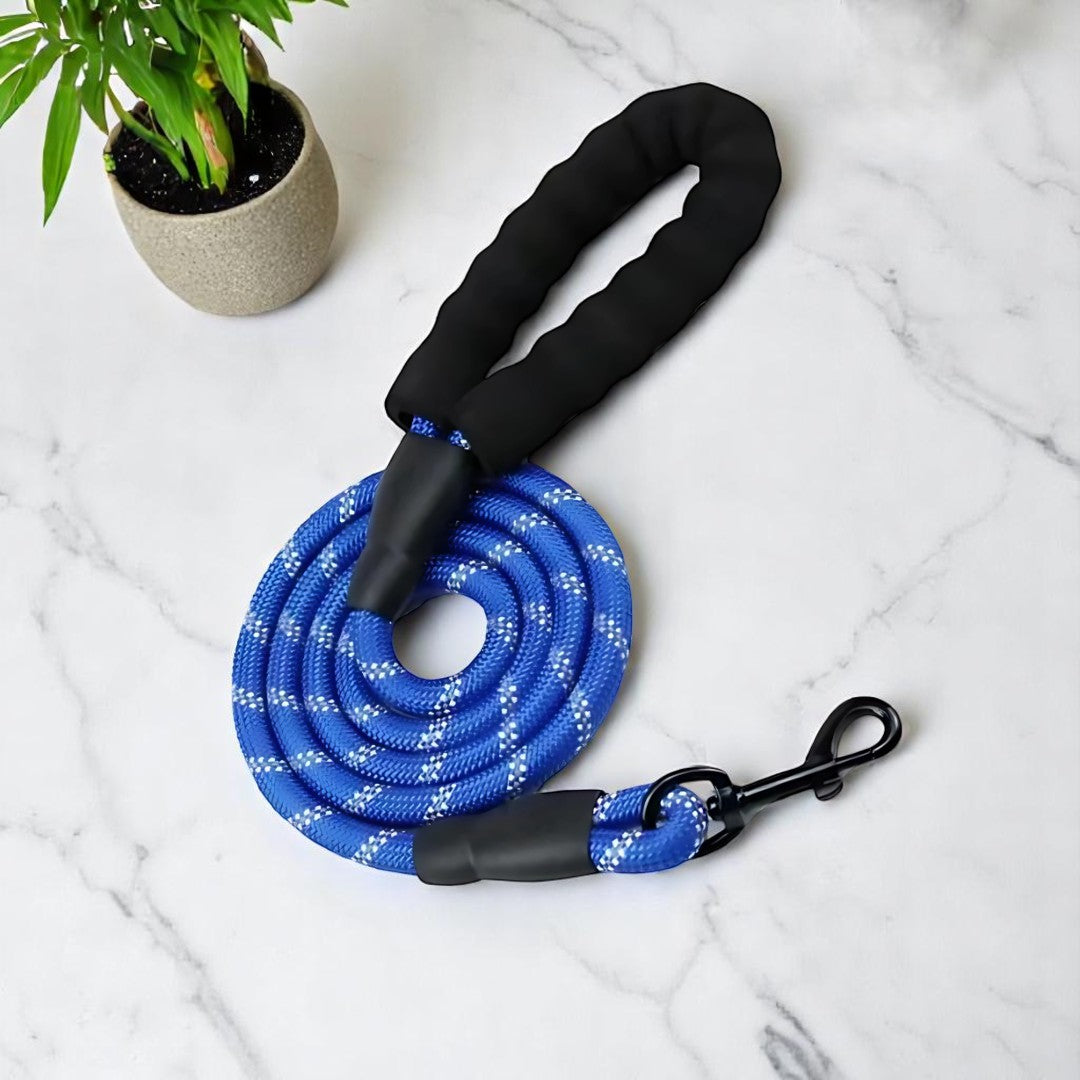 SafeStride Reflective Dog Leash