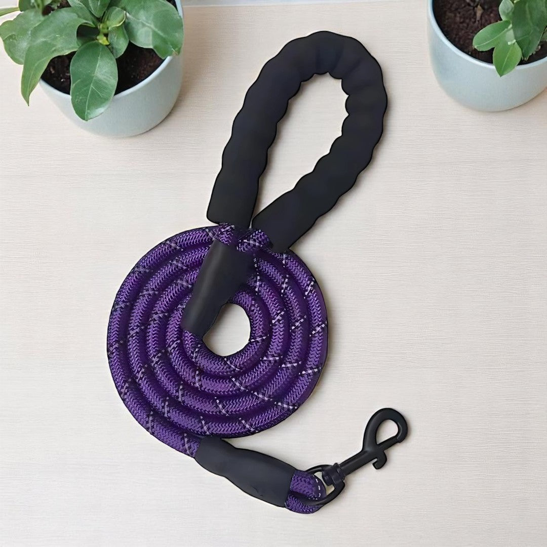 SafeStride Reflective Dog Leash