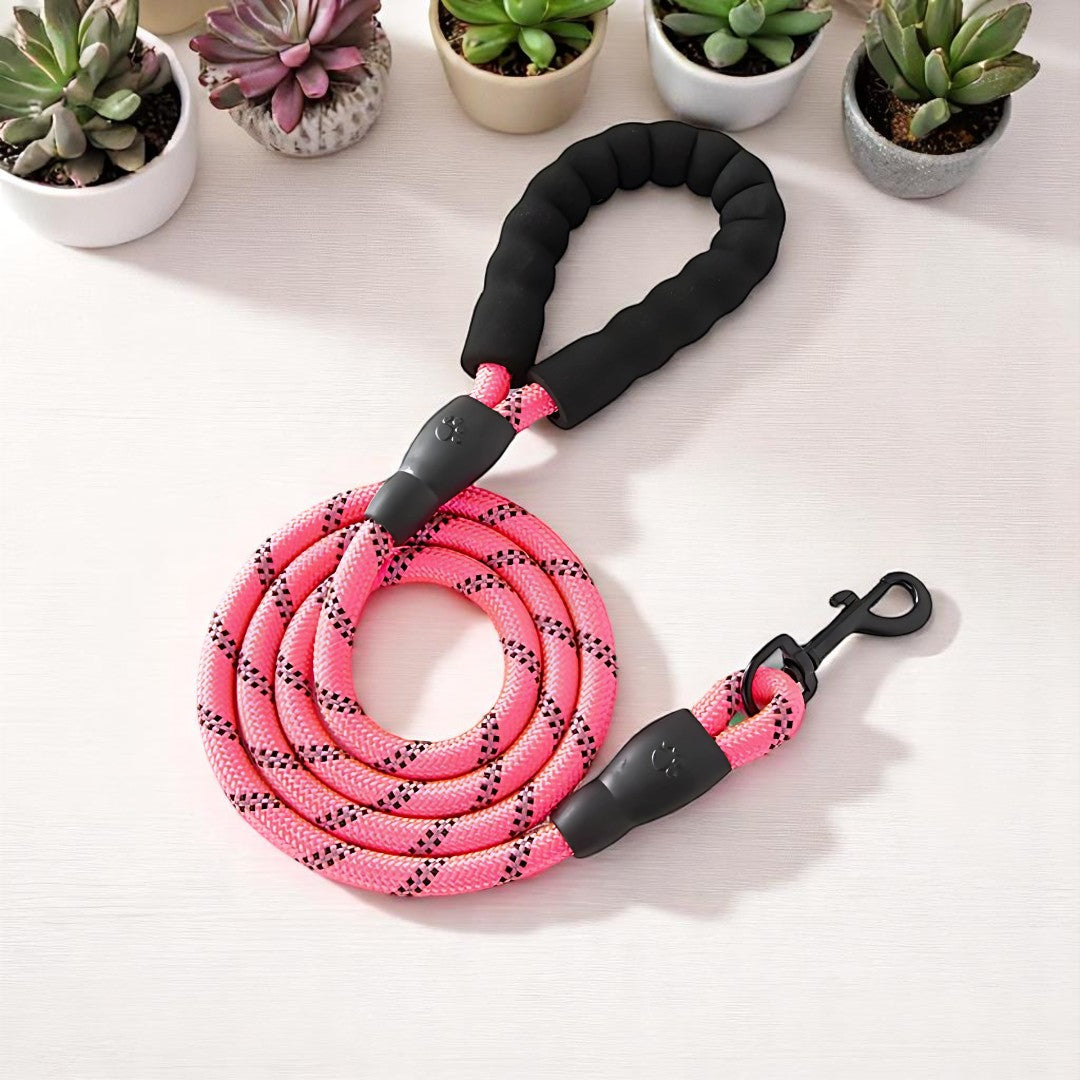 SafeStride Reflective Dog Leash