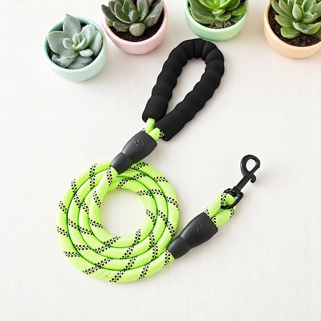 SafeStride Reflective Dog Leash