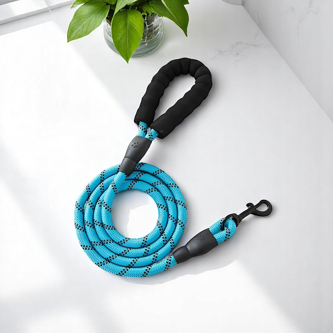 SafeStride Reflective Dog Leash
