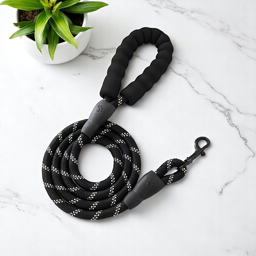 SafeStride Reflective Dog Leash