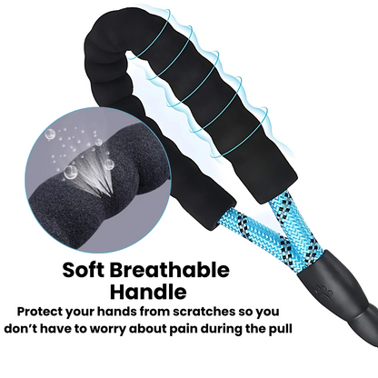 SafeStride Reflective Dog Leash