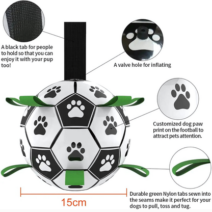 Fetch Goal Fußball