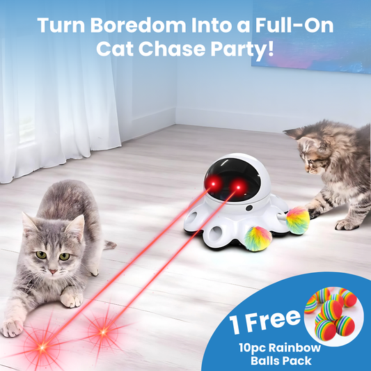 ChaseGlow Interaktiver Katzenlaser